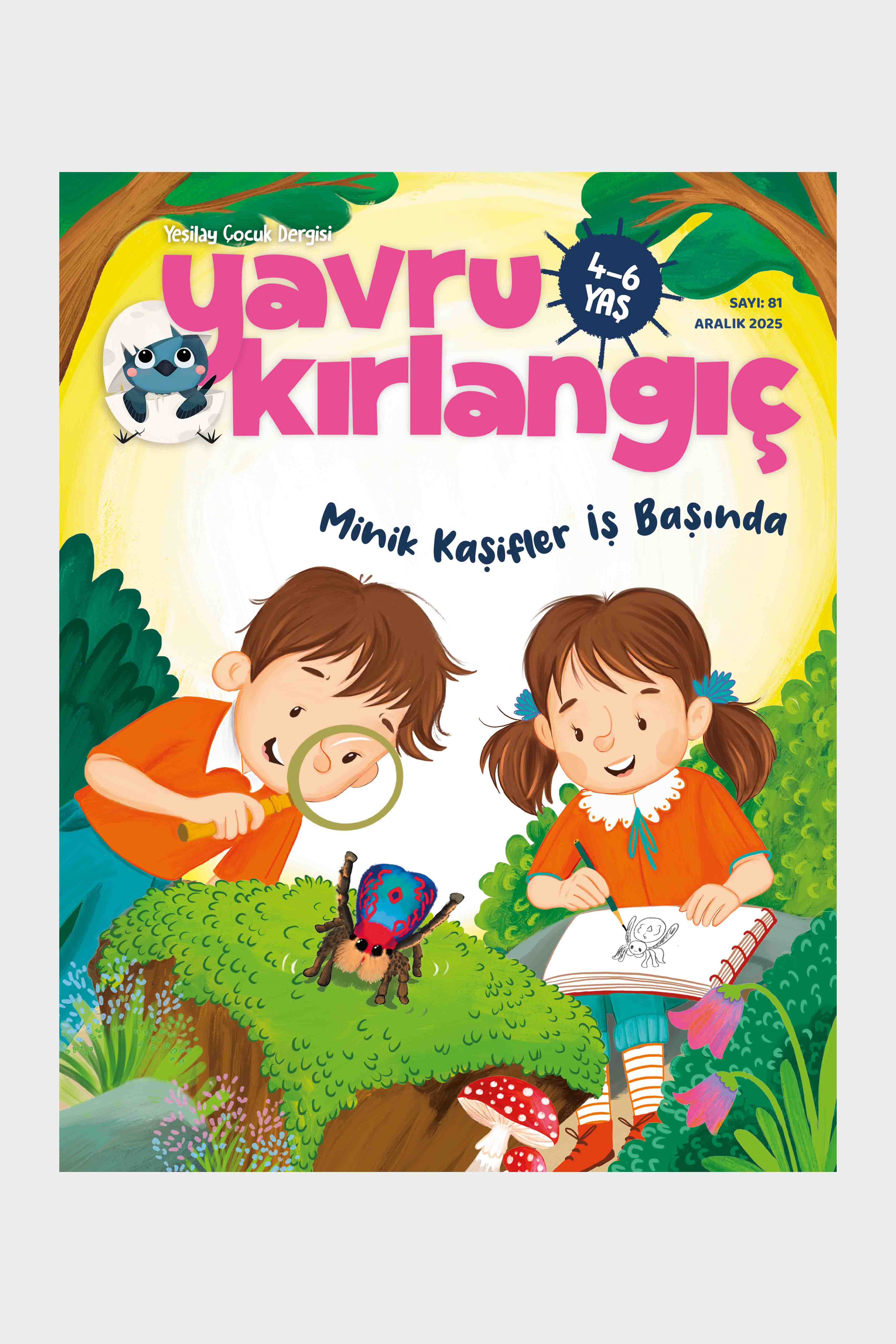 Yavru Kirlangic Dergi Kapak Aralık 2025