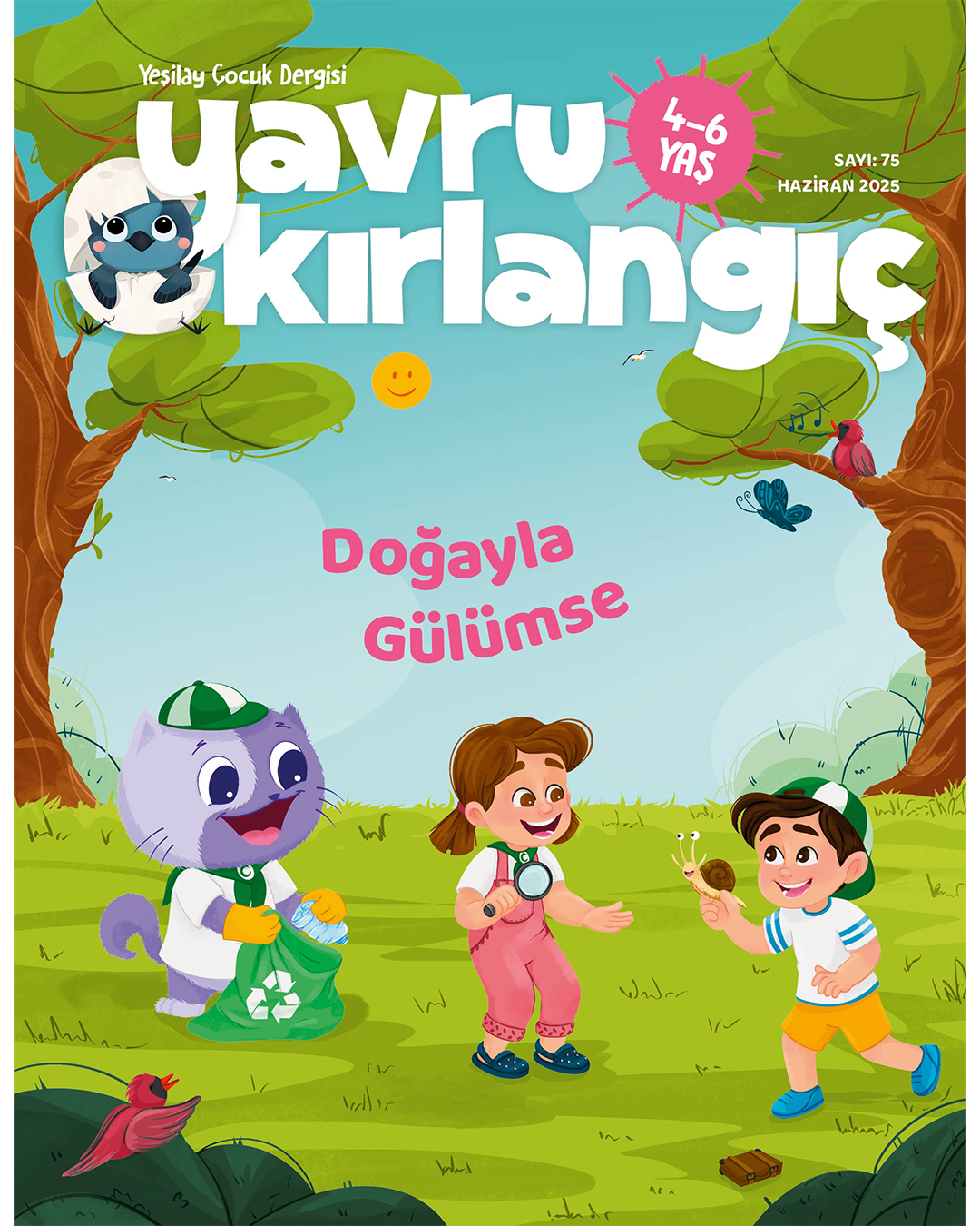 Yavru Kirlangic Site Haziran