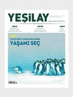 Yesilay Dergi Kapak Haziran 2025