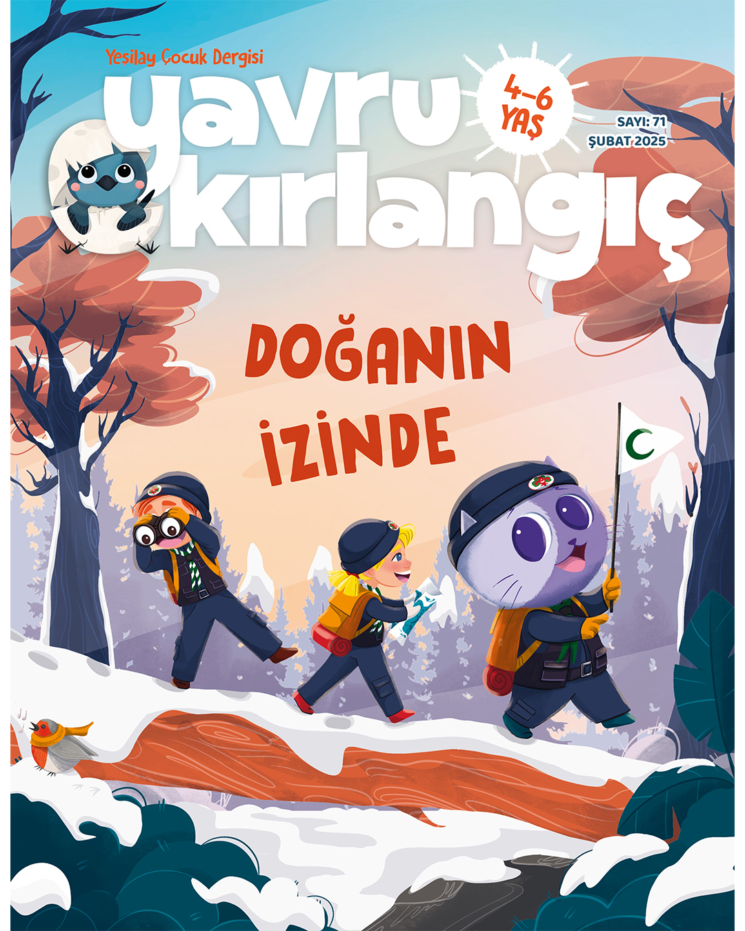 Yavru Kirlangic Site Subat