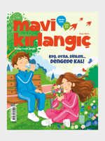 Mavi Kirlangic Kapak Nisan 2026
