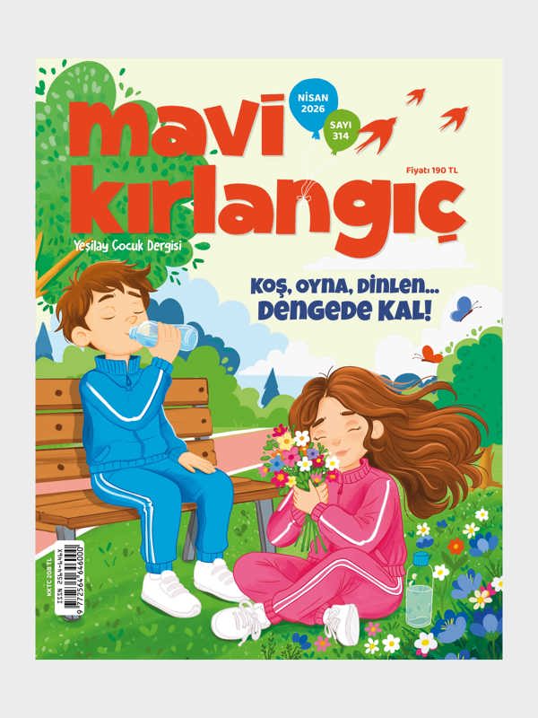 Mavi Kirlangic Kapak Nisan 2026